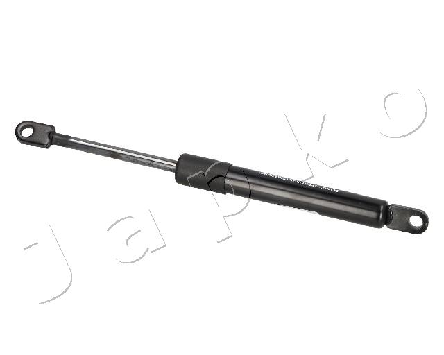 ZSJ09131