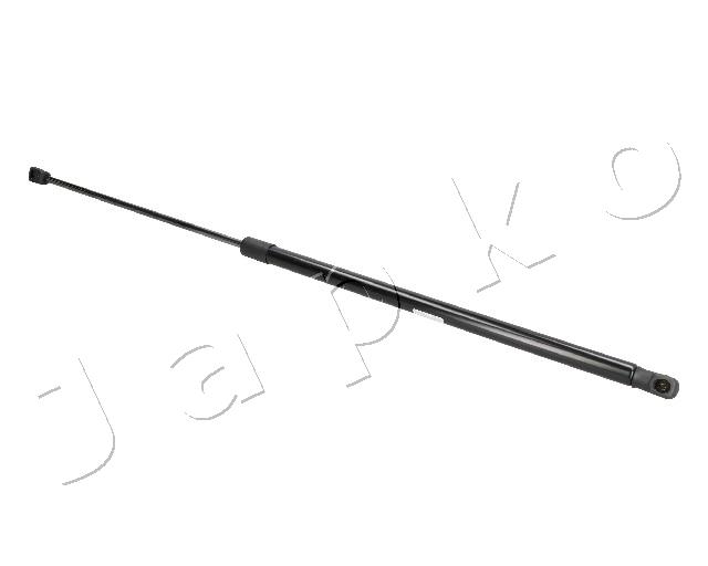 ZSJ09195