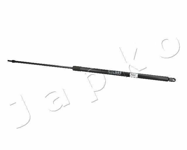 ZSJ09128