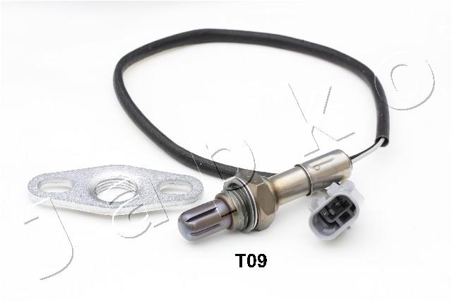 3T09