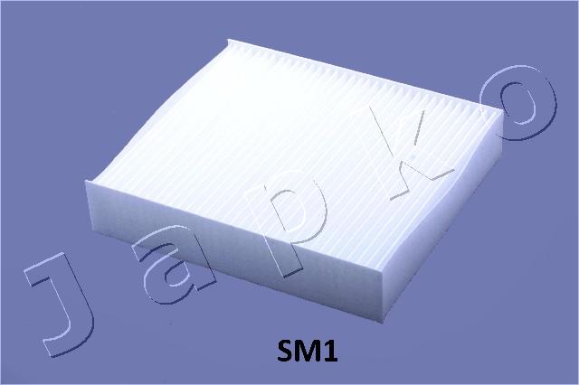21SM1