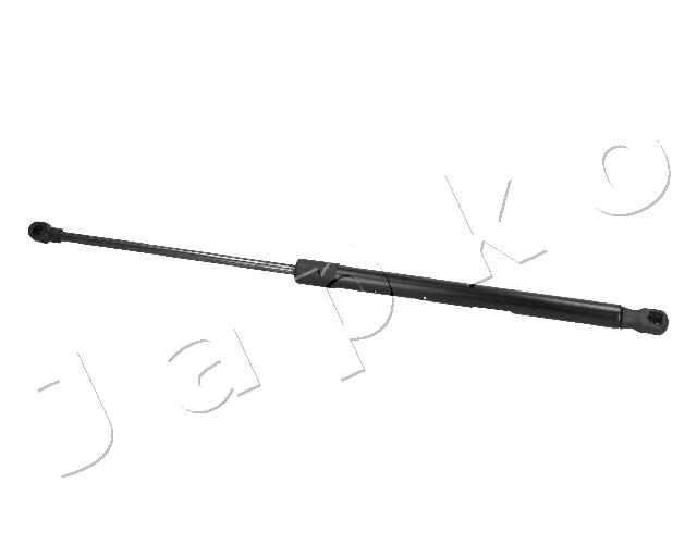 ZSJ09087