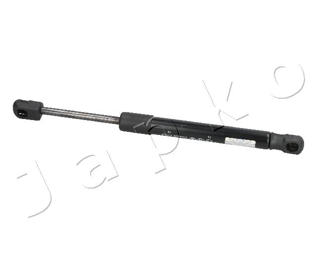 ZSJ09117