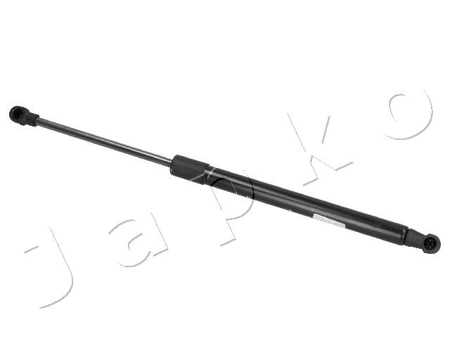 ZSJ07074