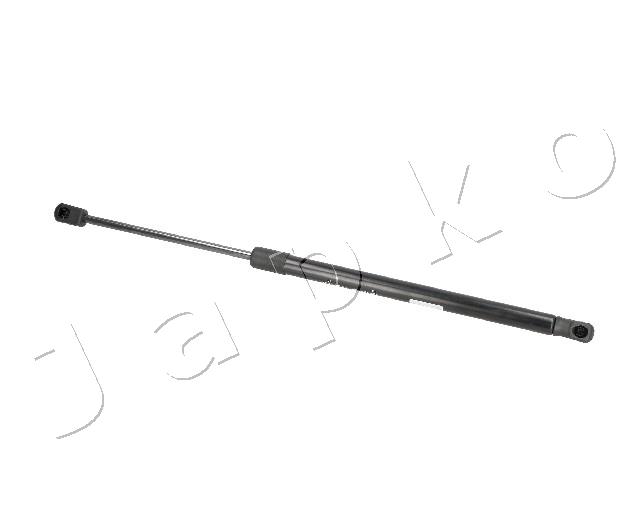 ZSJ09130