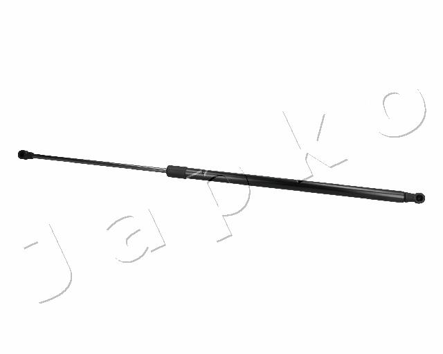ZSJ06077
