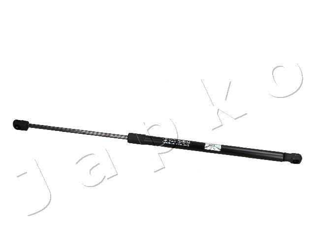 ZSJ10034
