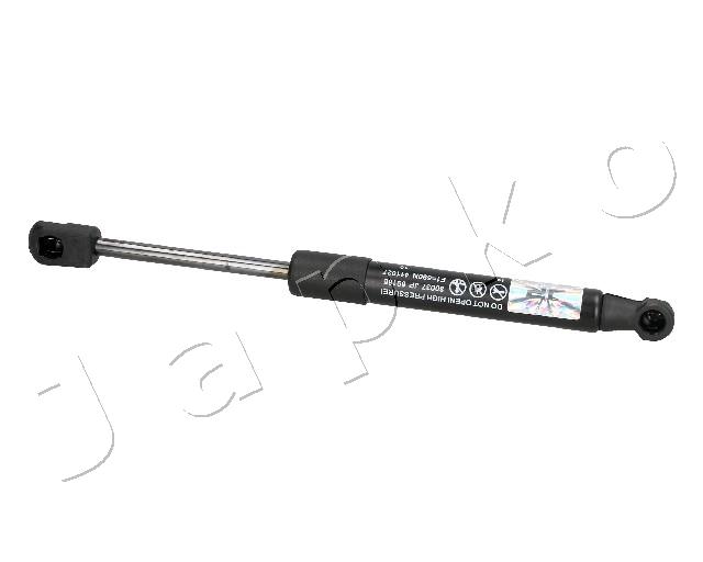 ZSJ09166