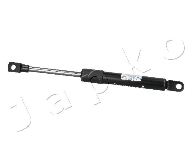 ZSJ09100