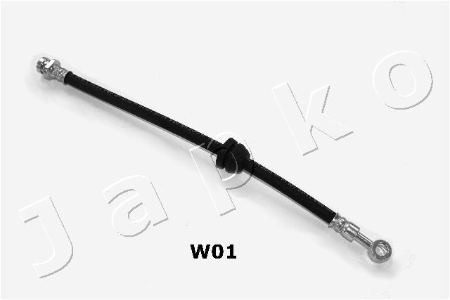 69W01