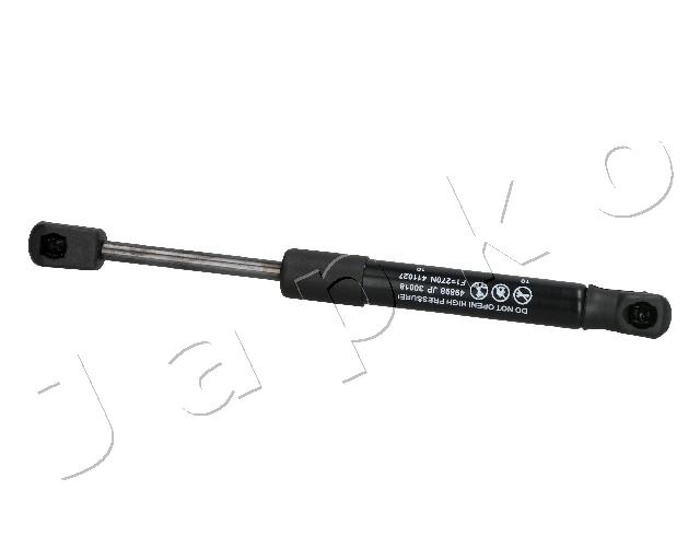 ZSJ30018