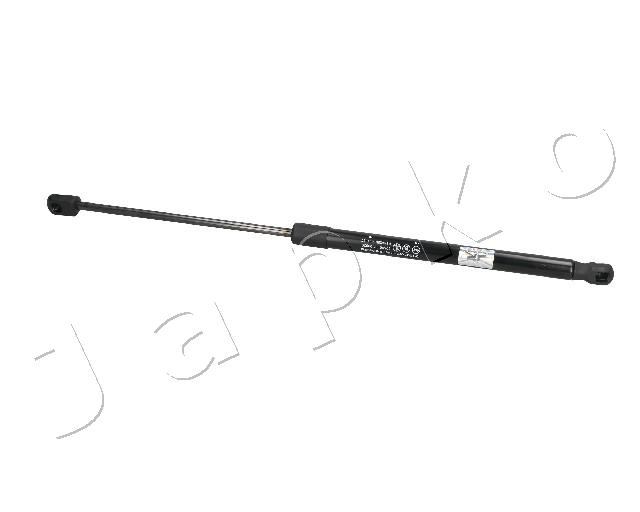 ZSJ09029