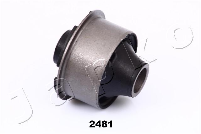 GOJ2481