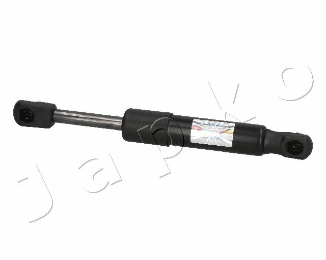ZSJ06096