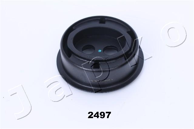 GOJ2497