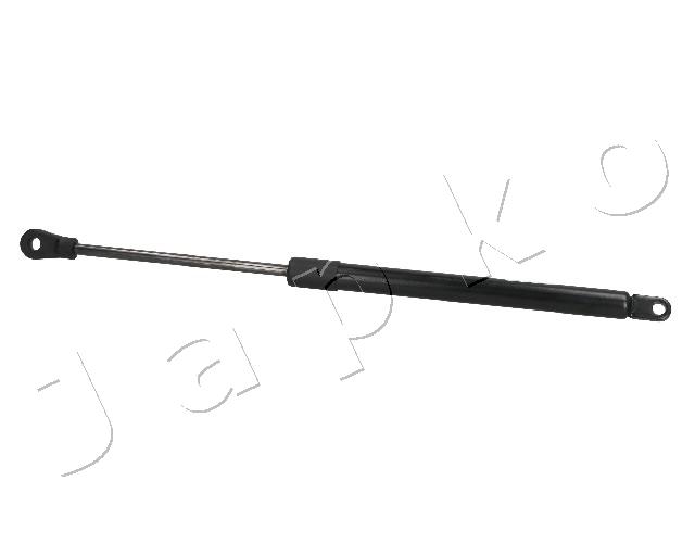 ZSJ09160