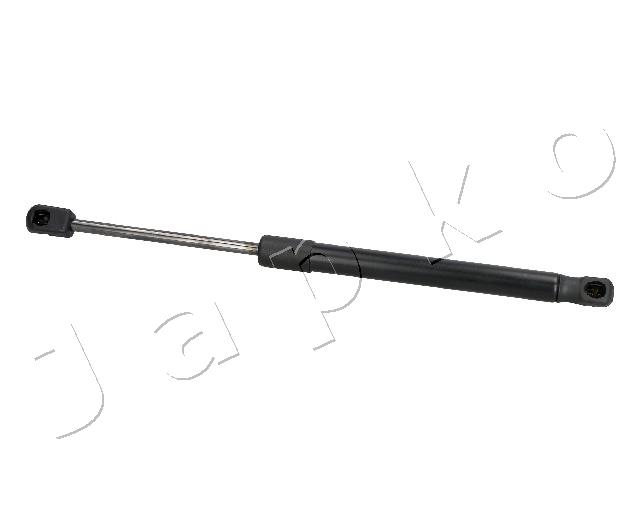 ZSJ05021