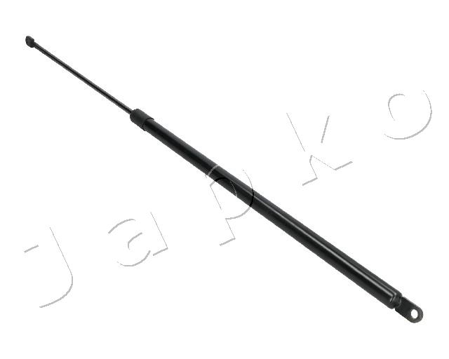 ZSJ09085