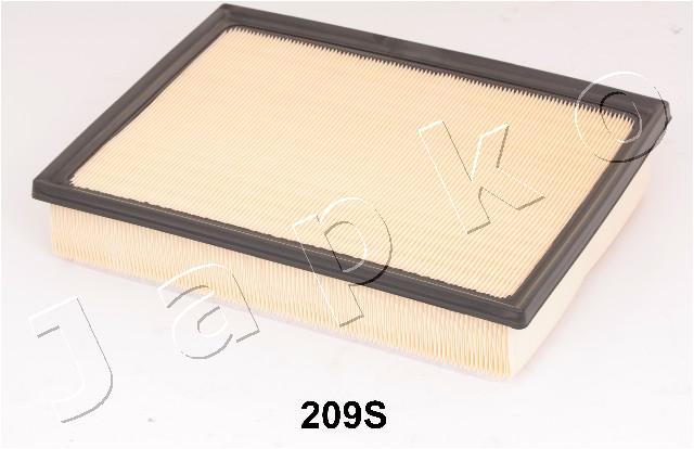 20209