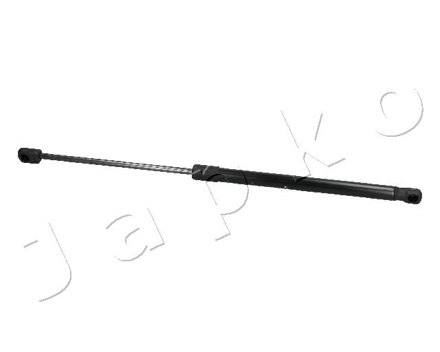 ZSJ10024