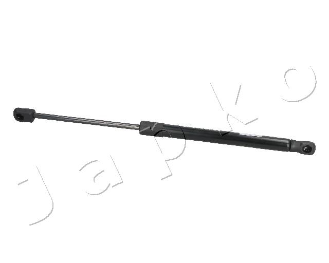 ZSJ09056