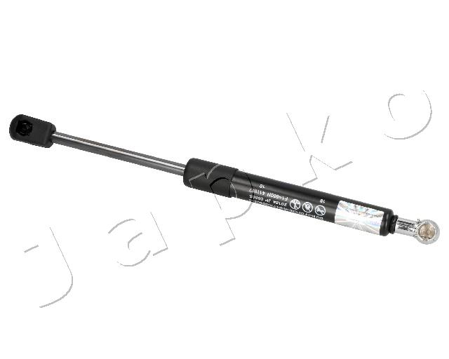 ZSJ09005
