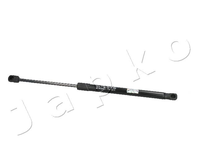 ZSJ09093