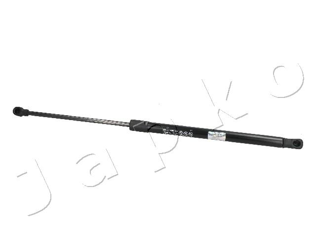 ZSJ09069