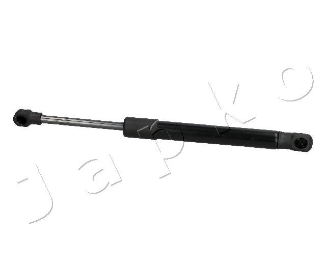 ZSJ30009