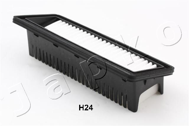 20H24