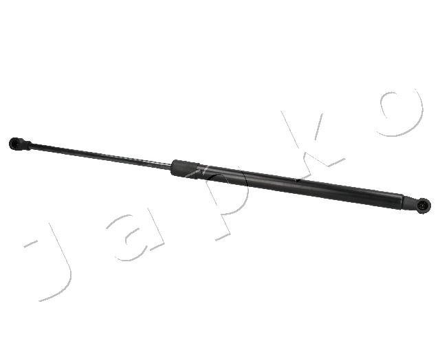 ZSJ07046