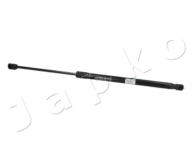 ZSJ09216