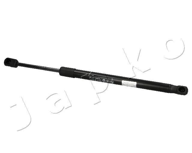 ZSJ07079