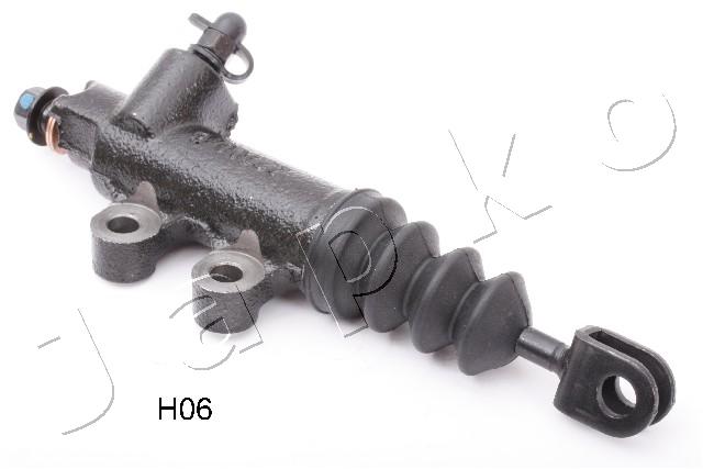 85H06