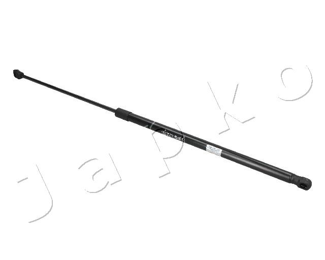 ZSJ09019