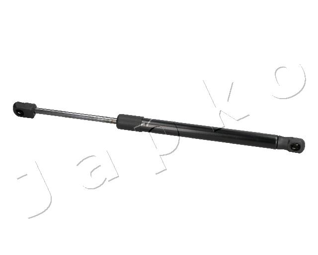 ZSJ09132
