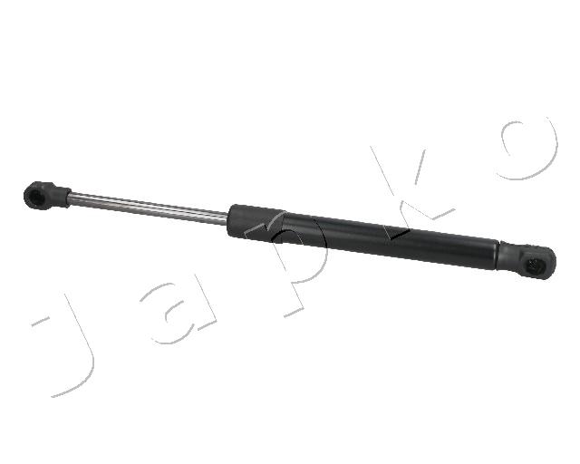 ZSJ09113