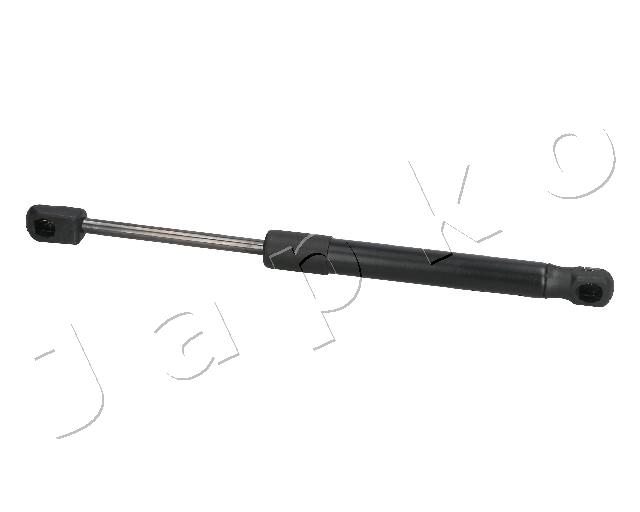 ZSJ09088