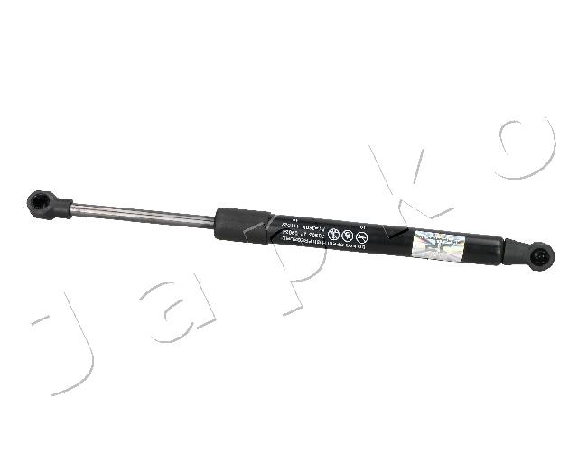 ZSJ09034
