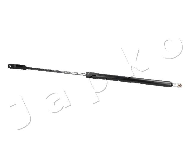 ZSJ09163