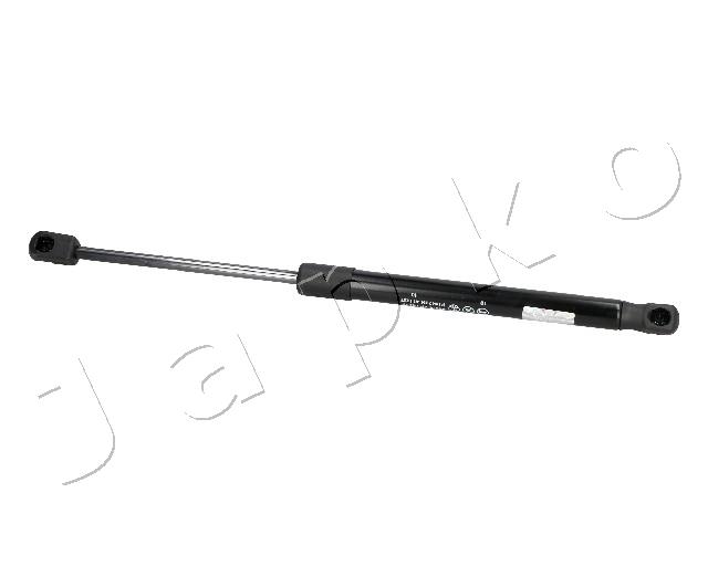 ZSJ09207