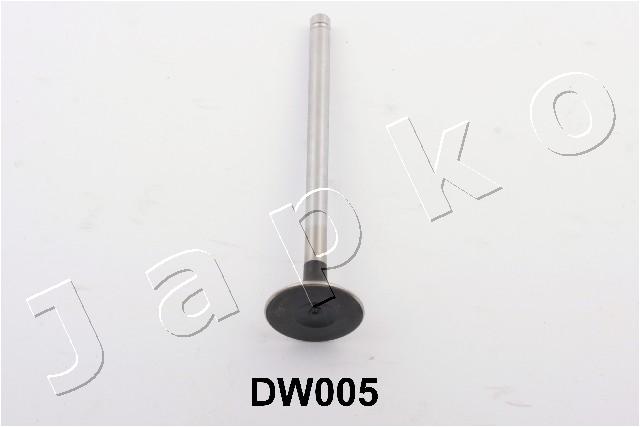 5DW005