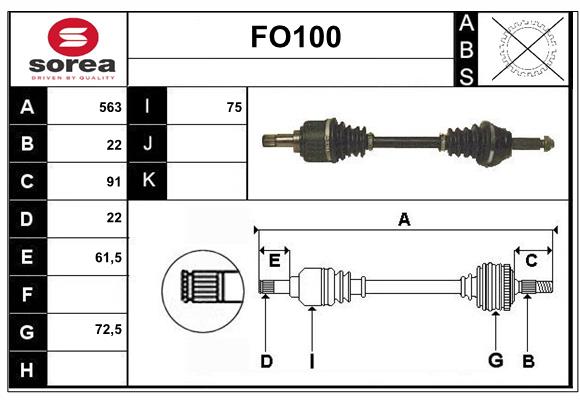 FO100