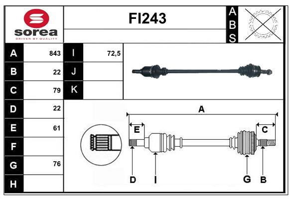 FI243