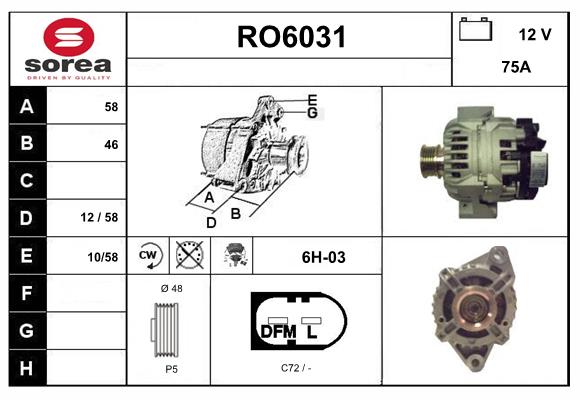 RO6031