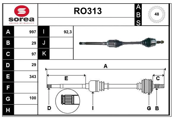 RO313