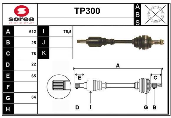 TP300