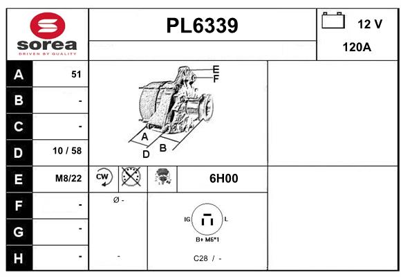PL6339