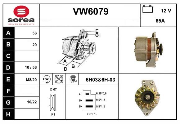 VW6079