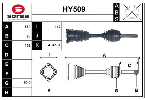 HY509